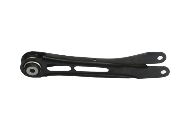 Control Arm Suspensia 484-X07LA0591